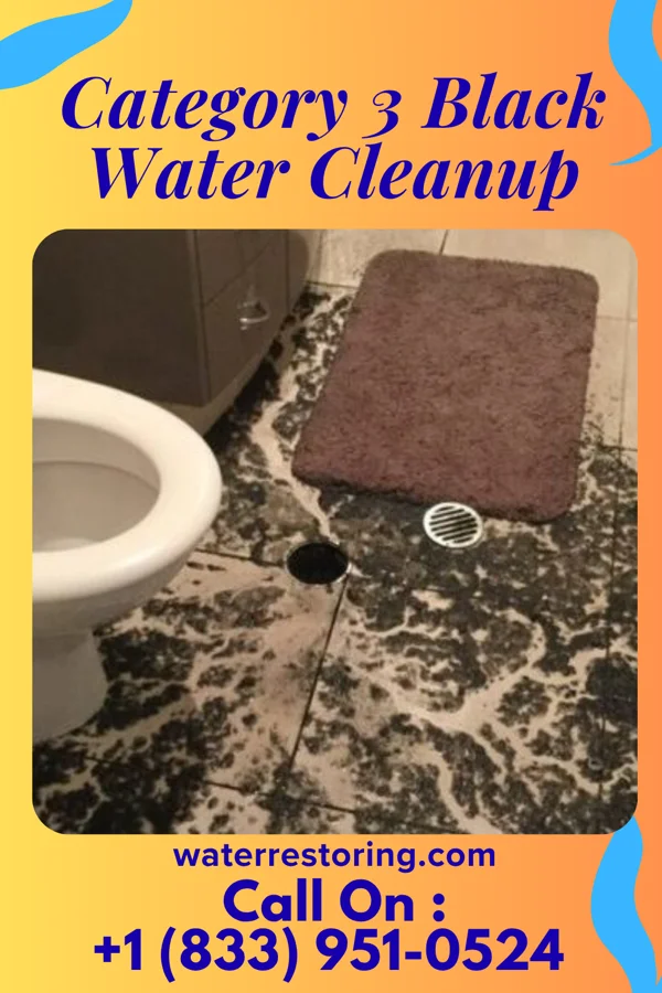Category 3 Black Water Cleanup in White Rock, NM