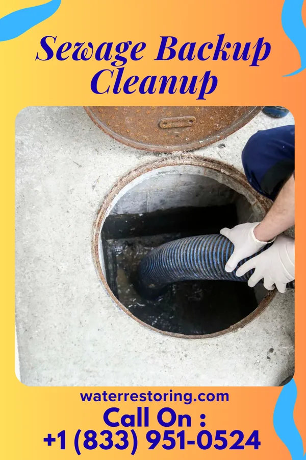 Sewage Backup Cleanup in White Rock, NM