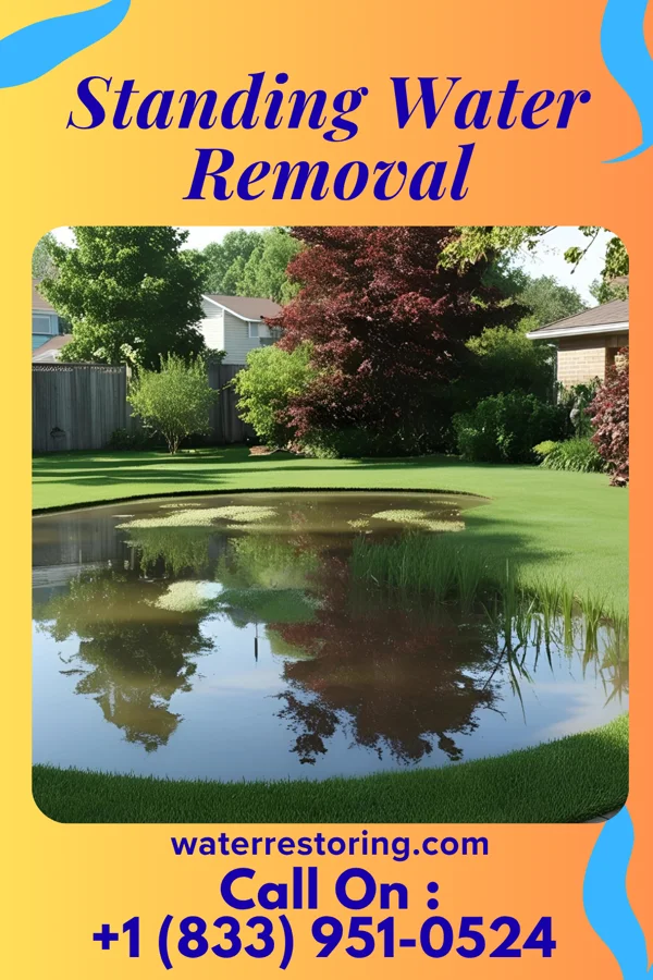 Standing Water Removal in White Rock, NM